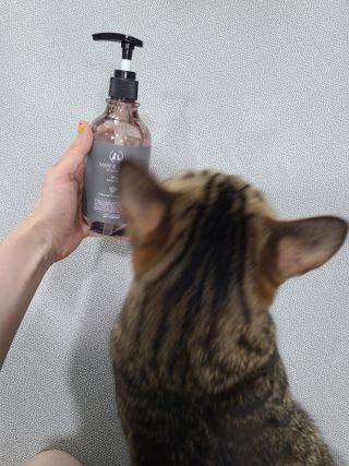 상어오리님이 올린 리뷰 사진 2
