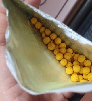 분홍봉구맘님이 올린 리뷰 사진 4