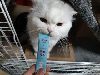 옹알이님이 올린 리뷰 사진 4
