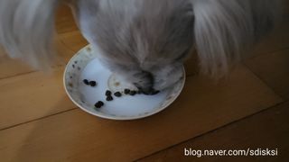 sdisksi님이 올린 리뷰 사진 1