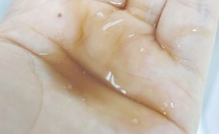 비니님이 올린 리뷰 사진 4