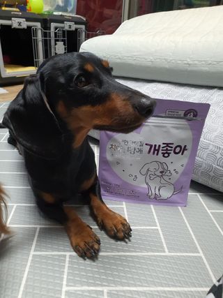 My Pet Care 천연단백질 치아건강에 개좋아 — 5점을 준 리뷰어가 2021년 1월 올린 사용 사진