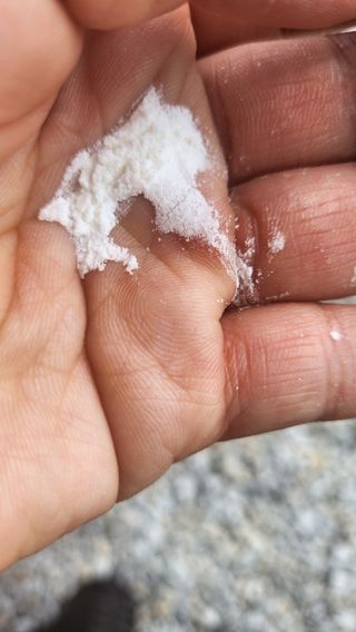 클린24시간 슬림앤유산균 1박스 (3.5g X 15포) — 5점을 준 리뷰어가 2023년 6월 올린 사용 사진