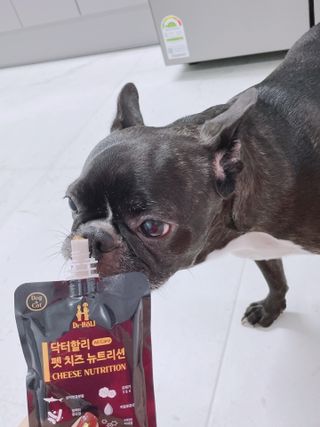 또용님이 올린 리뷰 사진 4