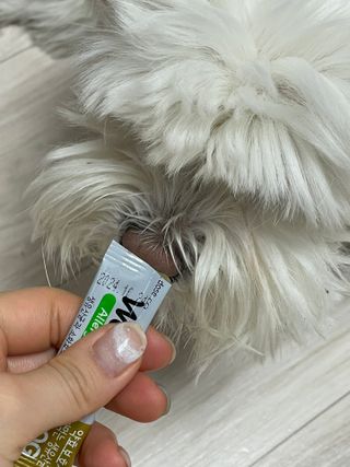 냠냠이님이 올린 리뷰 사진 1
