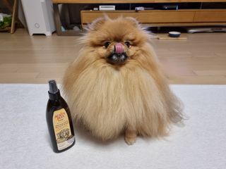 아롱이님이 올린 리뷰 사진 1