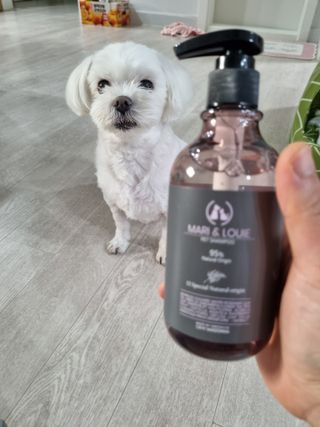 마리앤루이펫샴푸 [mari and louie pet shampoo] — 4점을 준 리뷰어가 2021년 5월 올린 사용 사진