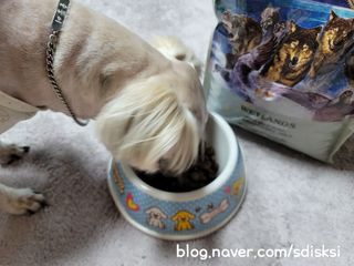 sdisksi님이 올린 리뷰 사진 3