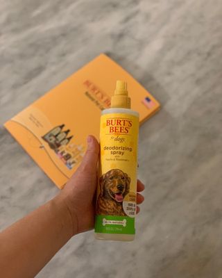 비베숑님이 올린 리뷰 사진 1