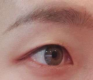 Psy님이 올린 리뷰 사진 1