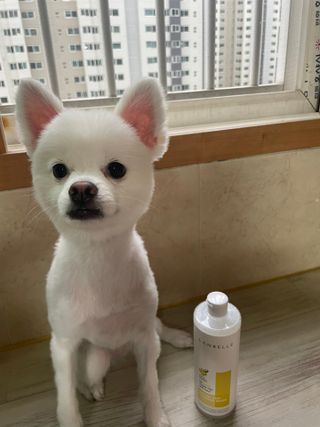 랑벨 내츄럴 딥 클렌징 워터 500ml — 5점을 준 리뷰어가 2022년 6월 올린 사용 사진