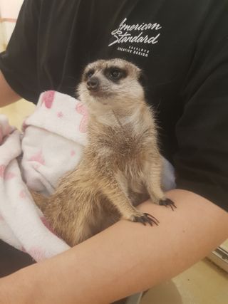 냥냥짱님이 올린 리뷰 사진 2