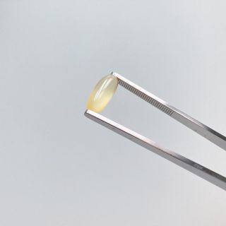 서울약사신협 네이처픽_알티지오메가3_1,205mg x 180캡슐 — 5점을 준 리뷰어가 2021년 9월 올린 사용 사진