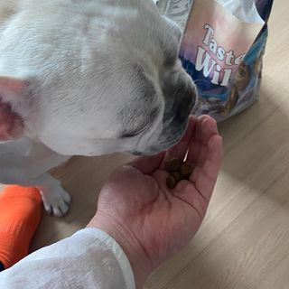 이샤르르님이 올린 리뷰 사진 4