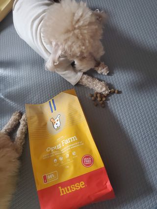 모모맘님이 올린 리뷰 사진 1