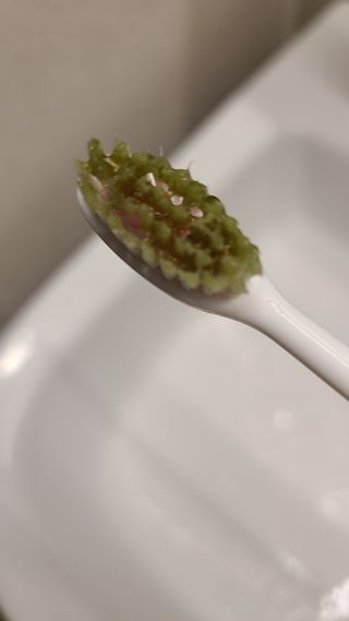 프리마인 유해균 뿐만 아니라 유익균까지 씻어내는 치약은 그만, 건강한 구강환경을 만드는 덴탈엔오 — 4점을 준 리뷰어가 2022년 5월 올린 사용 사진