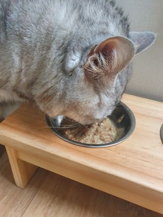 쌀보리냥님이 올린 리뷰 사진 3