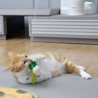 jenny님이 올린 리뷰 사진 1