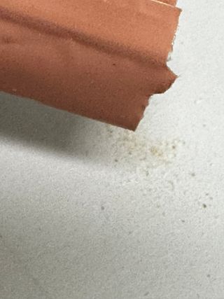 피엔티 [PNT 비움 발효효소] 가벼운 하루를 위한 하루 1포 효소 습관 — 5점을 준 리뷰어가 2023년 3월 올린 사용 사진