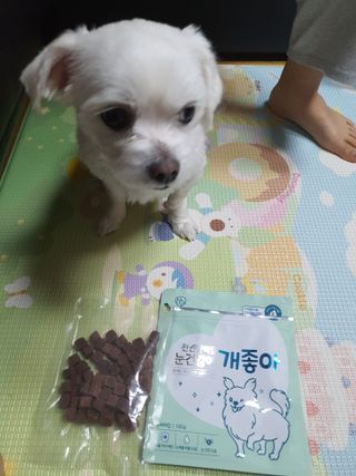 My Pet Care 천연단백질 눈건강에 개좋아 — 5점을 준 리뷰어가 2021년 3월 올린 사용 사진