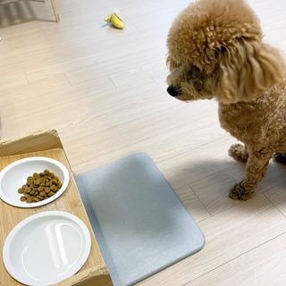 또꾸쀼님이 올린 리뷰 사진 1