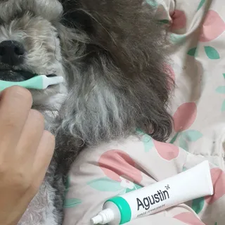 BlossomY님이 올린 리뷰 사진 3