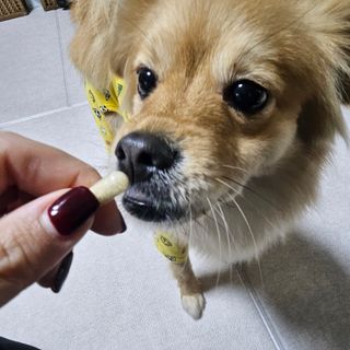 닝닝닝닝닝님이 올린 리뷰 사진 2