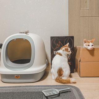 BoramKim님이 올린 리뷰 사진 1