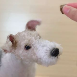 솜솜이2님이 올린 리뷰 사진 2