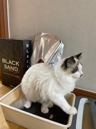 그레이스라님이 올린 리뷰 사진 1