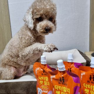 solla888님이 올린 리뷰 사진 2