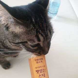 숑굥님이 올린 리뷰 사진 3