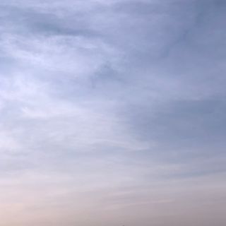 최정민님이 올린 리뷰 사진 1