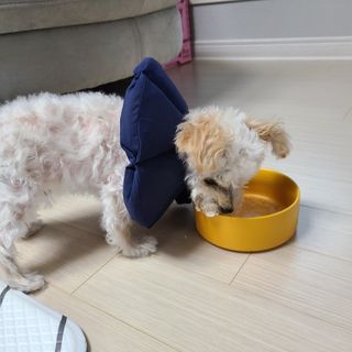 bbingbbing_e님이 올린 리뷰 사진 3