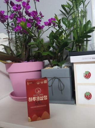 진리천사님이 올린 리뷰 사진 1