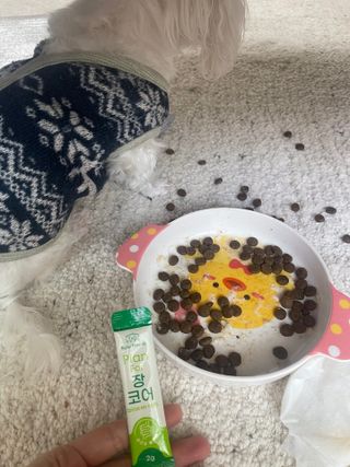 대바기님이 올린 리뷰 사진 3