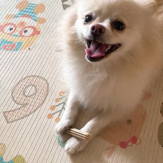 빠기노님이 올린 리뷰 사진 2