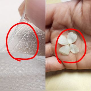 최은주님이 올린 리뷰 사진 4