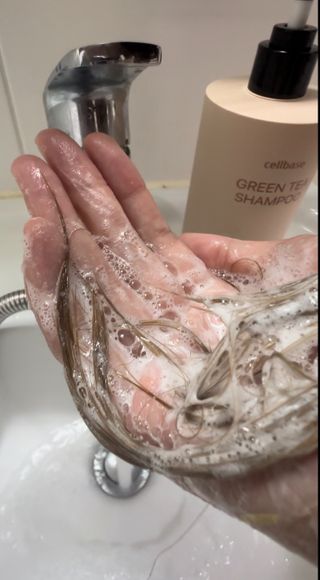 프리마인 더이상 뻣뻣하고 효과없는 탈모샴푸는 NO. 근본부터 케어하는 셀베이스 그린티샴푸(500ml) — 5점을 준 리뷰어가 2023년 4월 올린 사용 사진