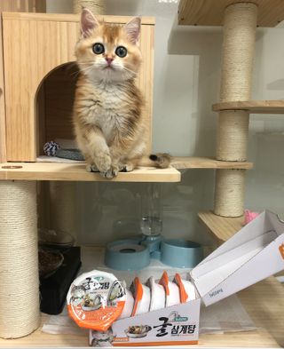 고고고님이 올린 리뷰 사진 2
