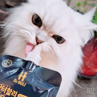 바이에이미님이 올린 리뷰 사진 2