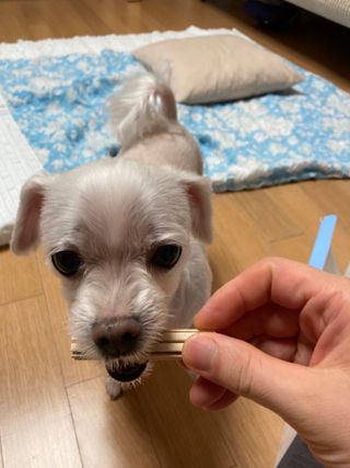 gotu01님이 올린 리뷰 사진 4