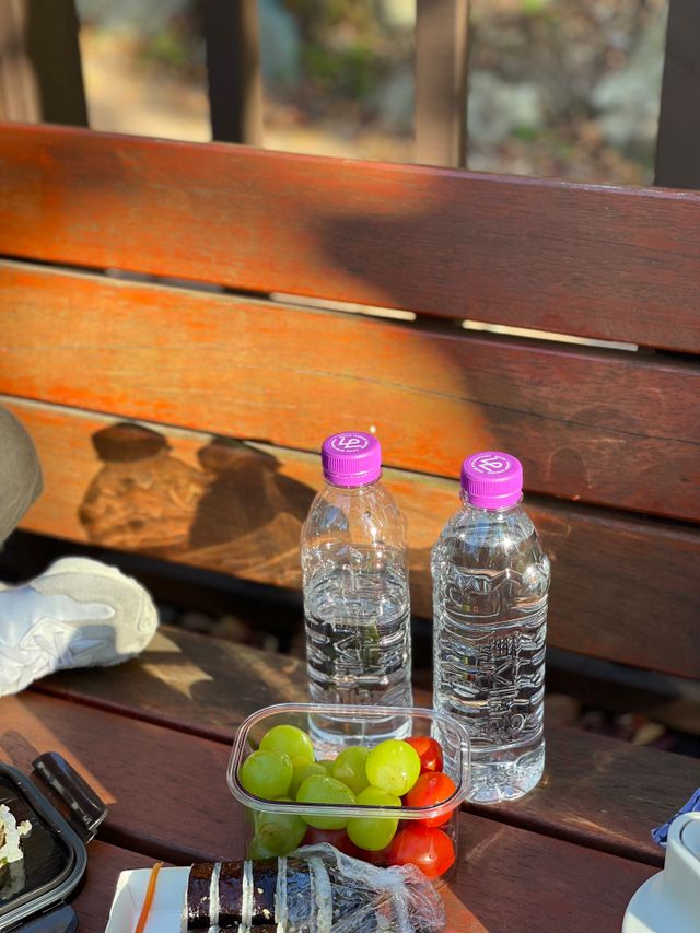 [MONTBEST]위드어스 500mL 20병 리뷰 사진