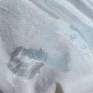 애디팬더 미생물 바이오 SF앰플 블루/그린 — 5점을 준 리뷰어가 2021년 4월 올린 사용 사진