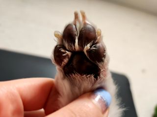 소중하비님이 올린 리뷰 사진 3