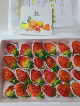 옳음 딸기 논산 설향 딸기 900g 산지직송 — 4점을 준 리뷰어가 2021년 1월 올린 사용 사진