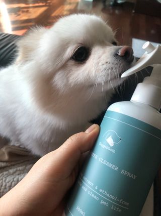 나나나님이 올린 리뷰 사진 1