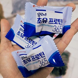 김이설님이 올린 리뷰 사진 2