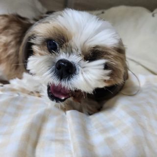 민준맘님이 올린 리뷰 사진 4
