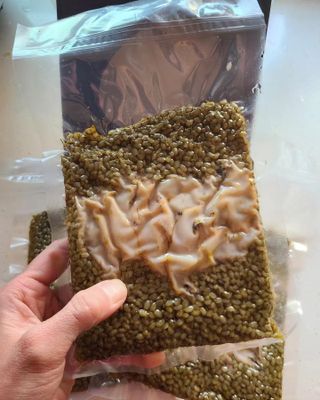 타리아가씨님이 올린 리뷰 사진 4
